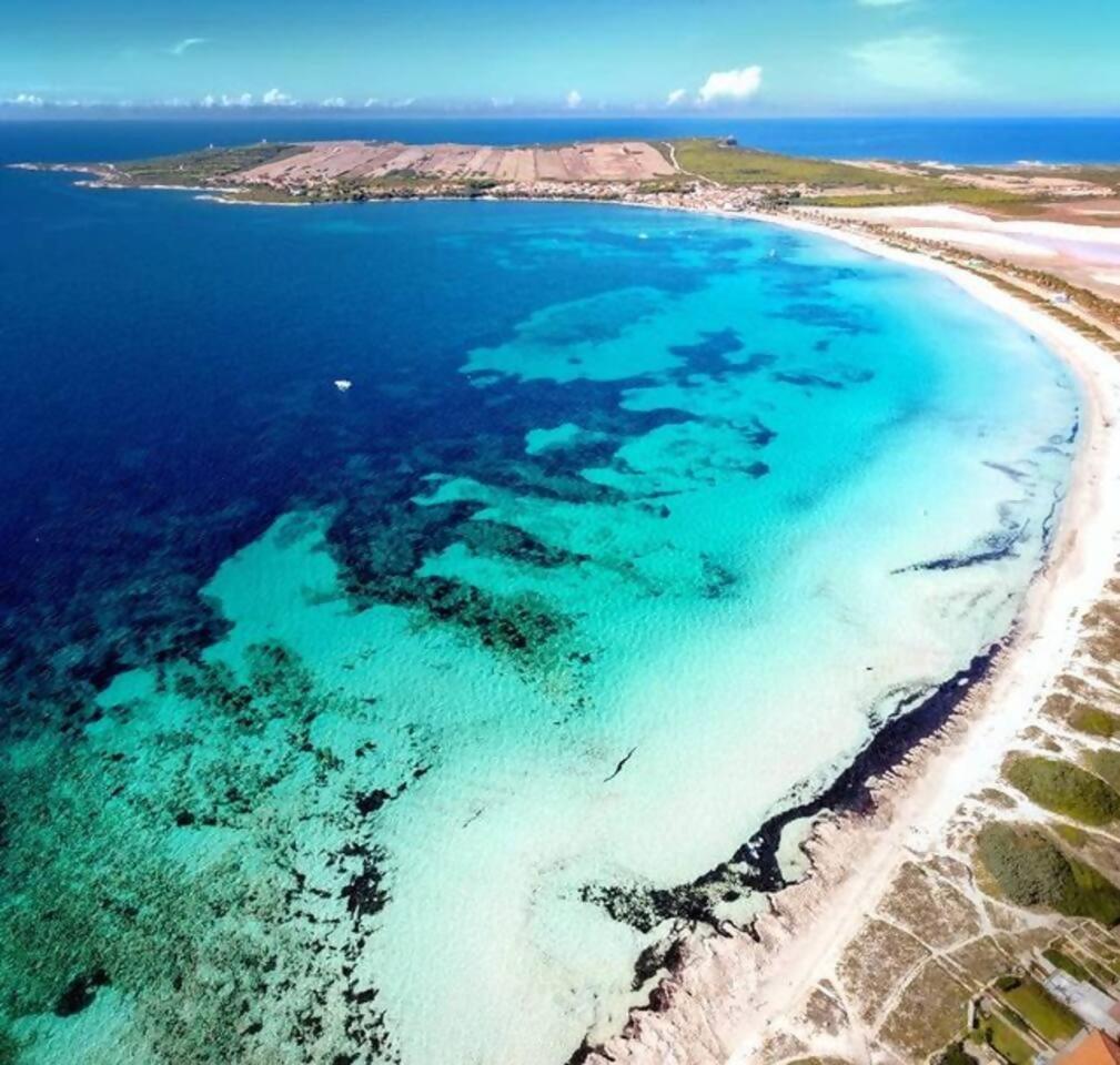 Funtana Meiga Marina Breeze 50Mt From Sea Екстер'єр фото